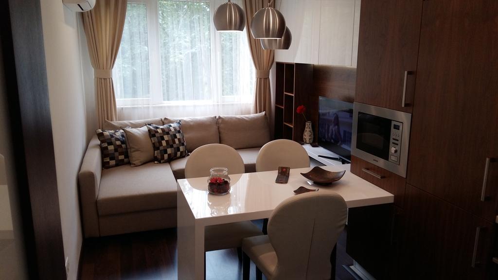 Apartment Lozenets *